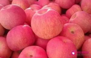 苹果果冻饮食减肥法
