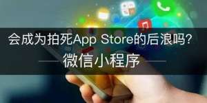 欧yiokx平台app官方地址(小程序揭竿而起：会成为拍死App Store的后浪吗)